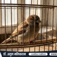 पिंजरे में कैद पक्षी और पराधीनता का दर्द
